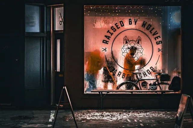 The Raised by Wolves window on Beech Road